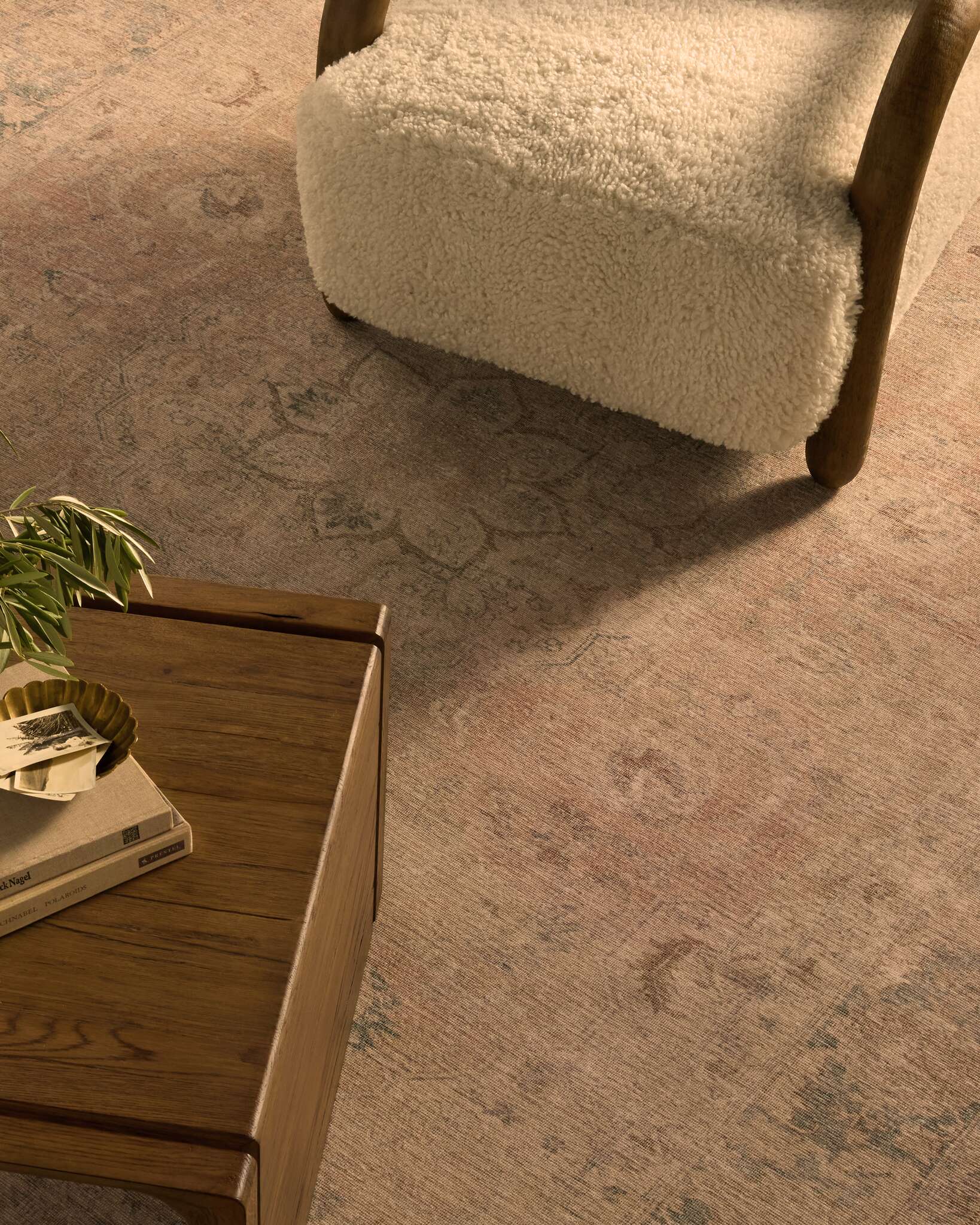 Thora Printed Rug | Joon Loloi