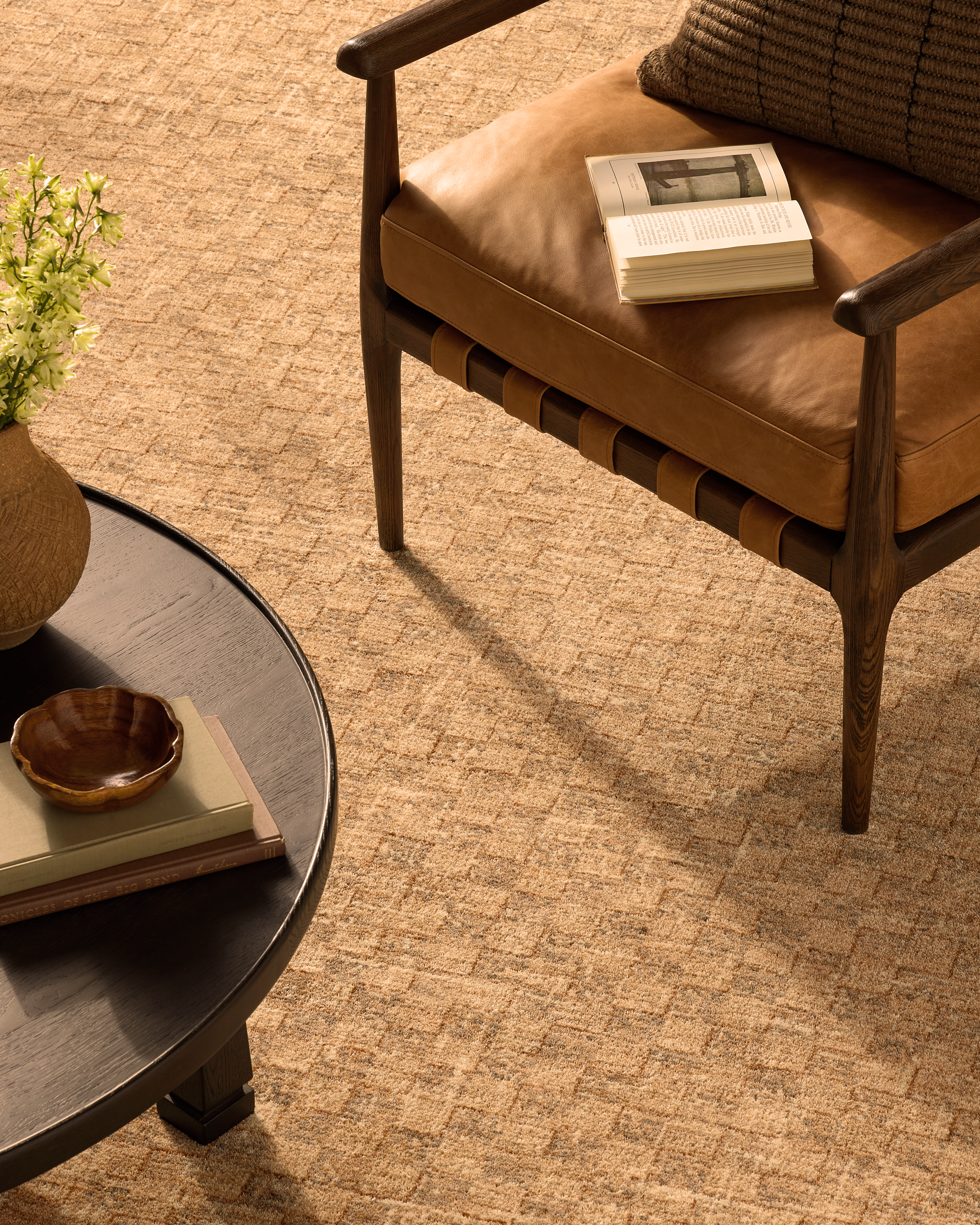 Warm_Light_Fairfax_Rug_Sand_Do