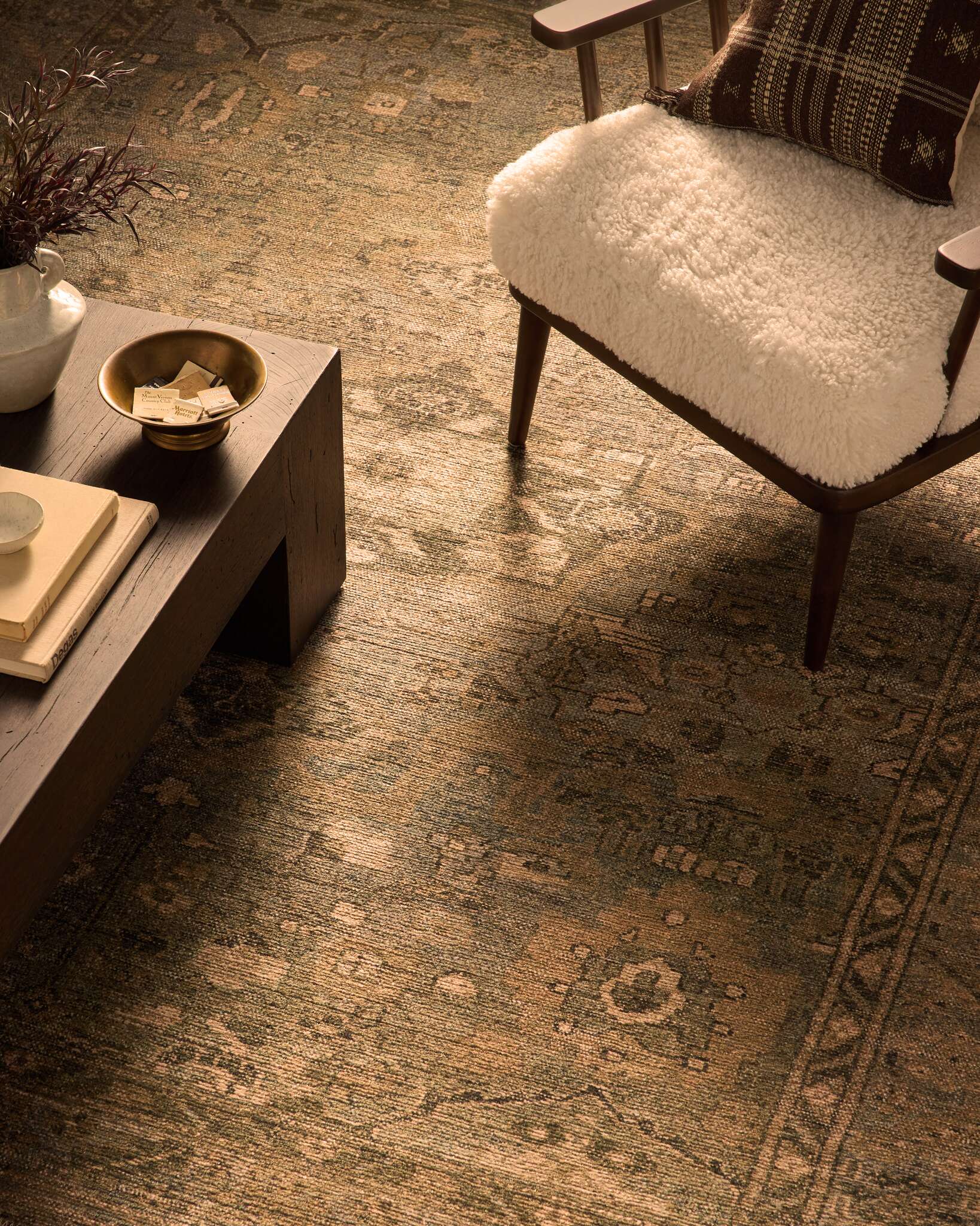 Carmella Printed Rug | Joon Loloi