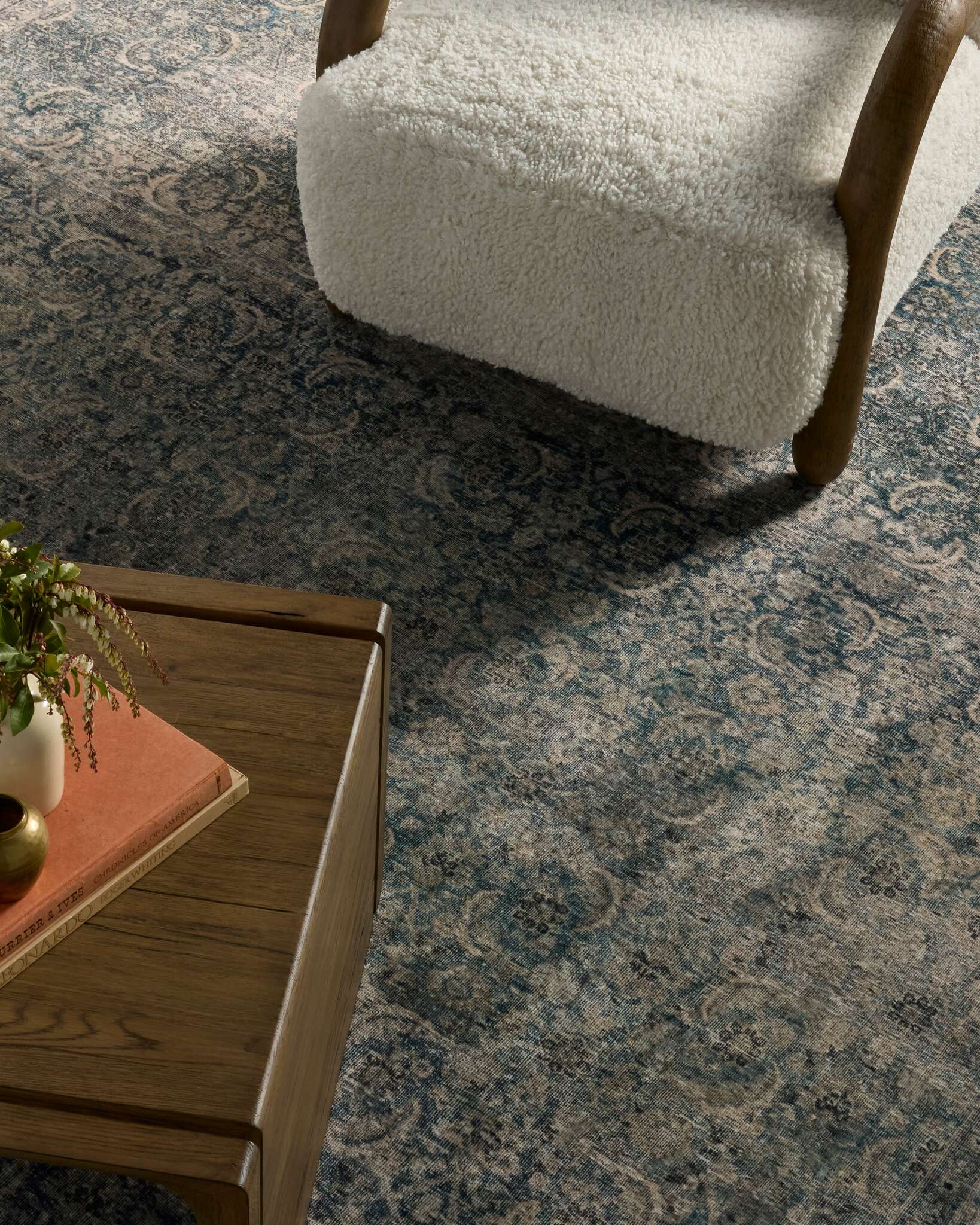 リーパラモリア Mitra Washable Printed Rug | Joon Loloi