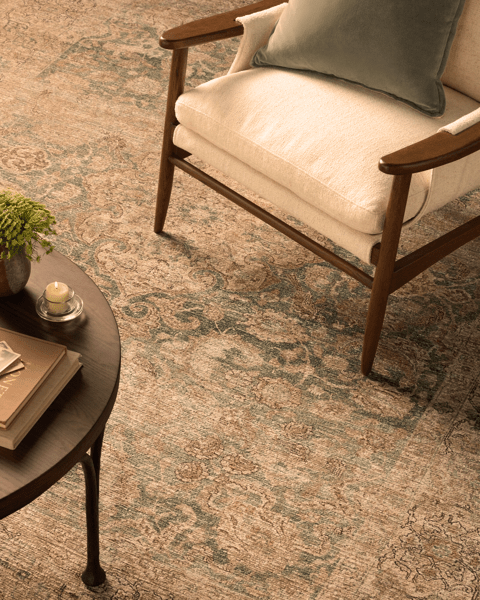 Delaney Printed Rug | Joon Loloi